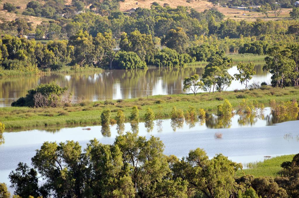 Riverview Rise Retreats Mannum Dış mekan fotoğraf
