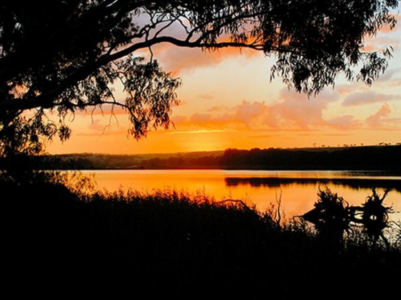 Riverview Rise Retreats Mannum Dış mekan fotoğraf