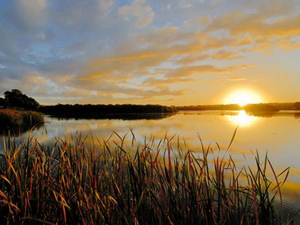 Riverview Rise Retreats Mannum Dış mekan fotoğraf
