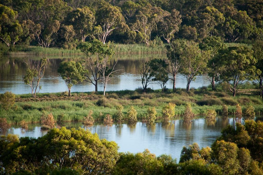 Riverview Rise Retreats Mannum Dış mekan fotoğraf