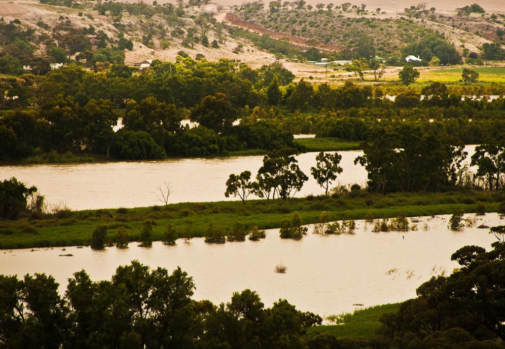 Riverview Rise Retreats Mannum Dış mekan fotoğraf