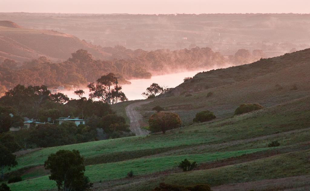 Riverview Rise Retreats Mannum Dış mekan fotoğraf
