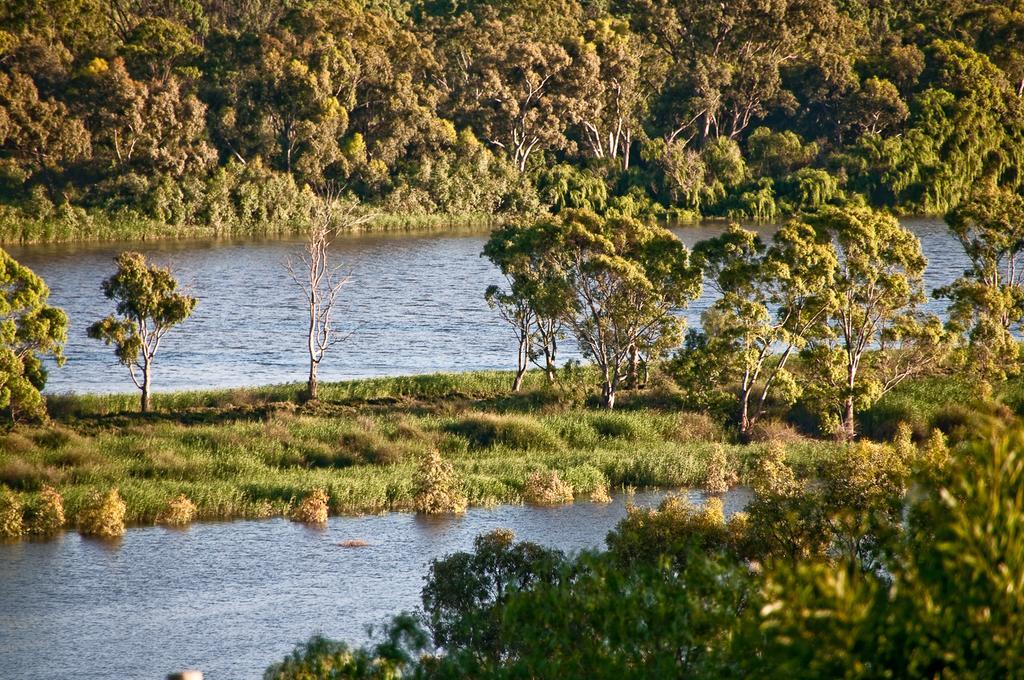 Riverview Rise Retreats Mannum Dış mekan fotoğraf