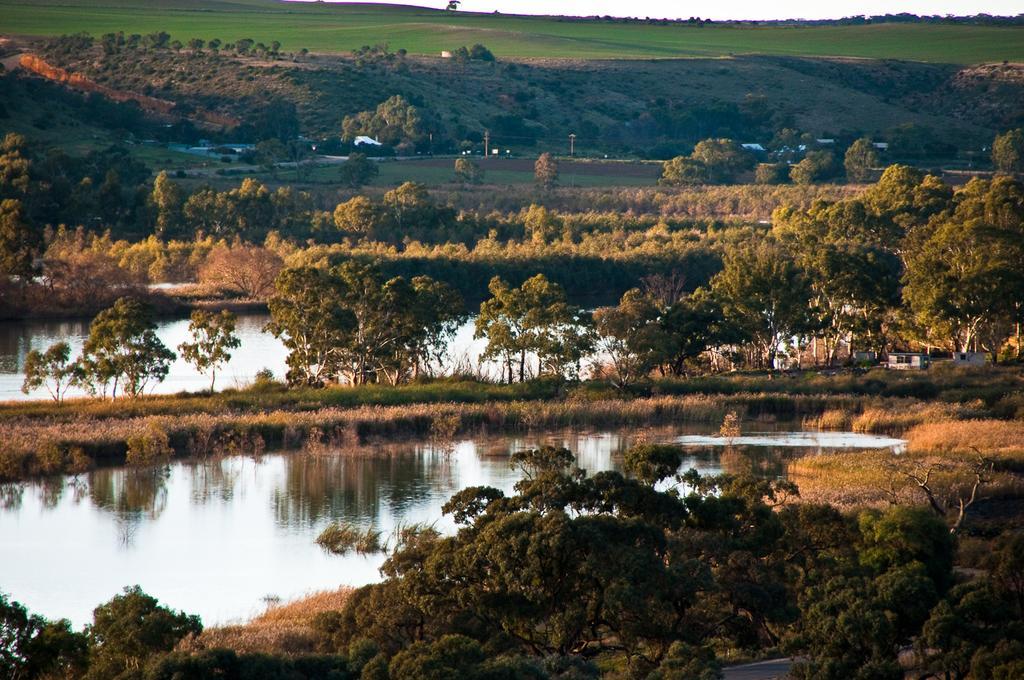Riverview Rise Retreats Mannum Dış mekan fotoğraf