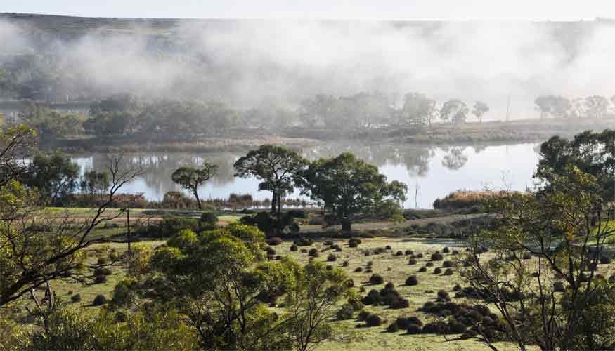 Riverview Rise Retreats Mannum Dış mekan fotoğraf