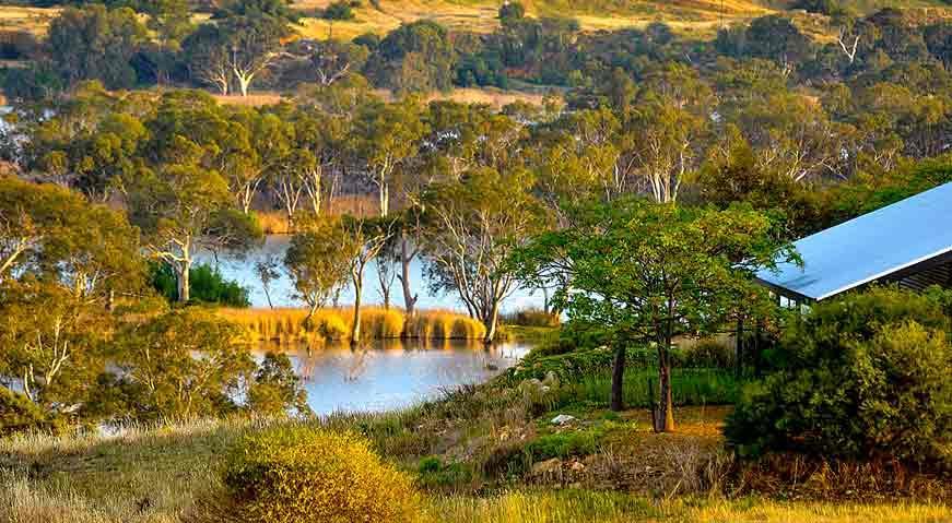 Riverview Rise Retreats Mannum Dış mekan fotoğraf