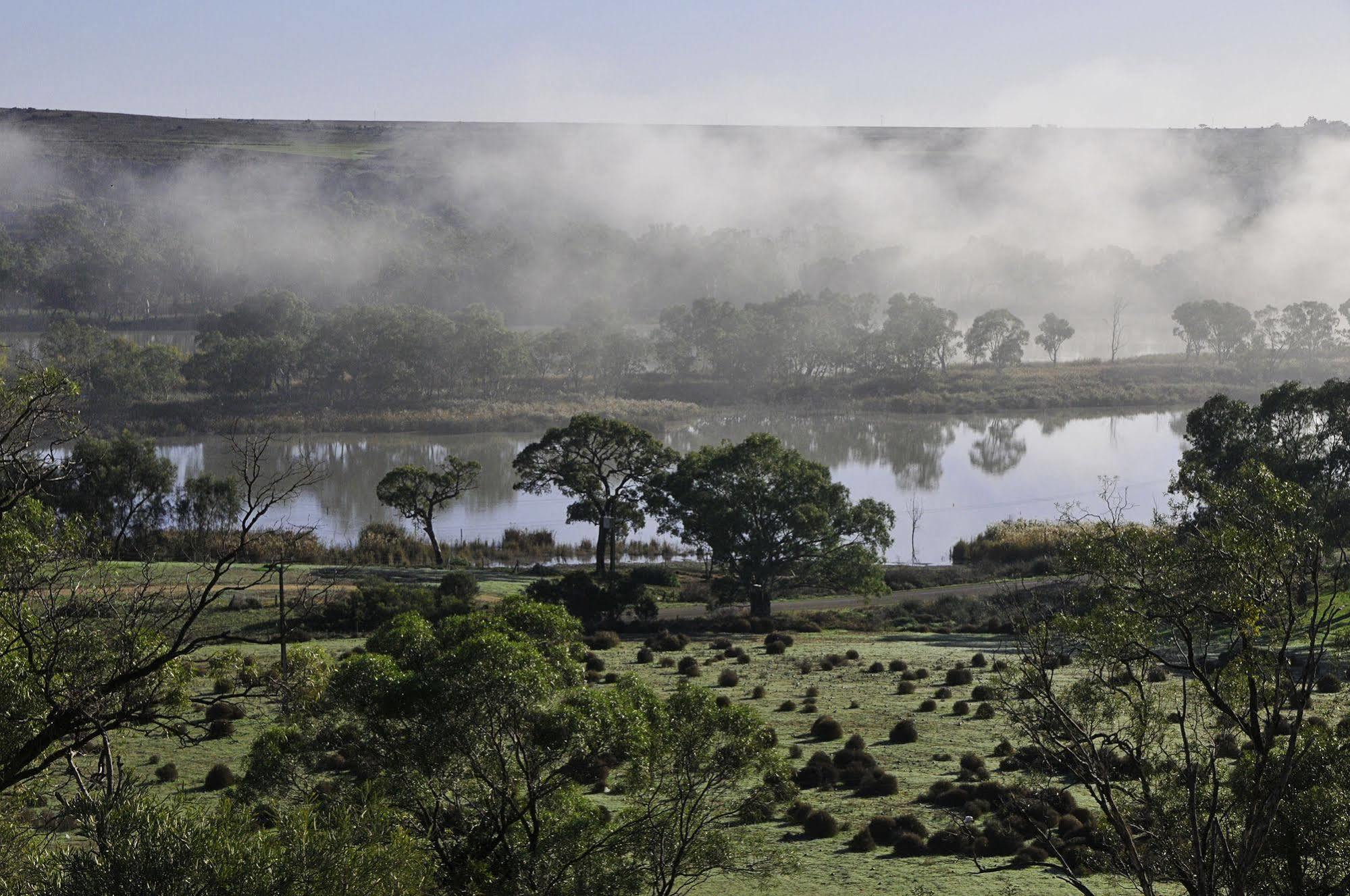 Riverview Rise Retreats Mannum Dış mekan fotoğraf
