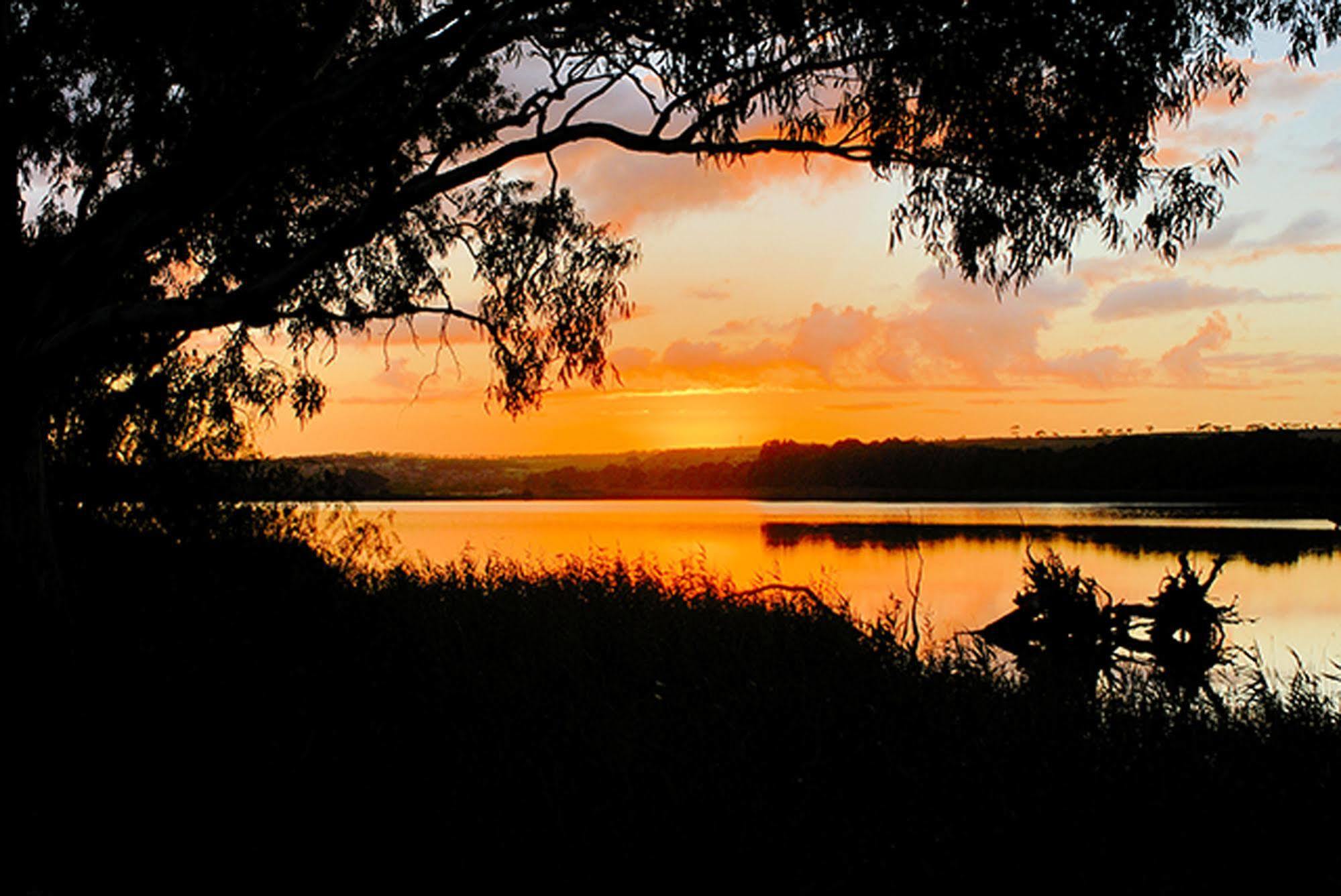 Riverview Rise Retreats Mannum Dış mekan fotoğraf